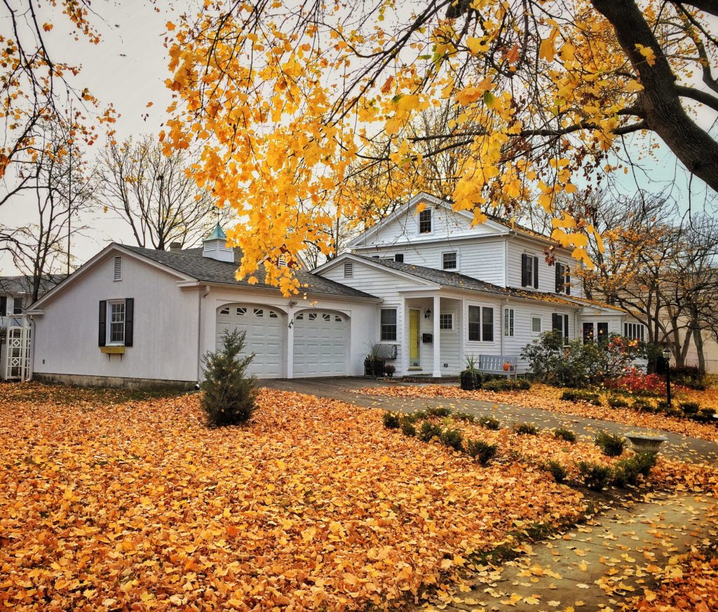 roofing, roof, roof replacement, roof repair, Minnesota, Minnesota roof, fall roofing, fall roof replacement, autumn roof, autumn roof replacement, autumn roofing, fall roofing