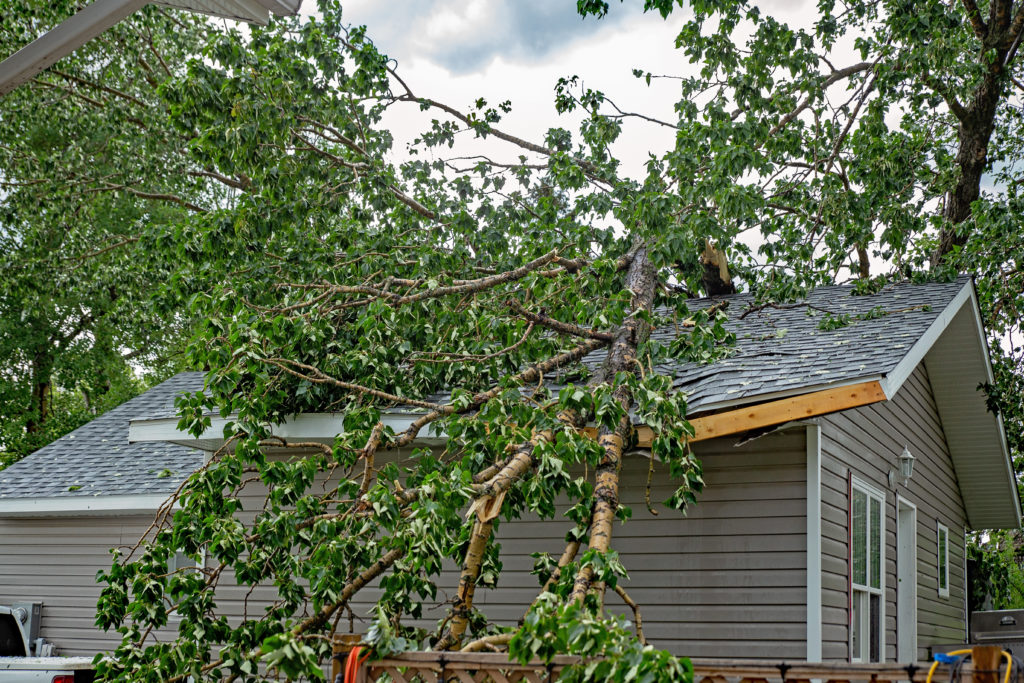 Roof, roofing, roof damage, roof repair, roofing professional, storm damage, wind damage, roof replacement