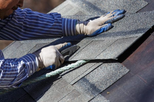 roof shingles, roof, roof replacement, roof replace, roof repair, roof contractor